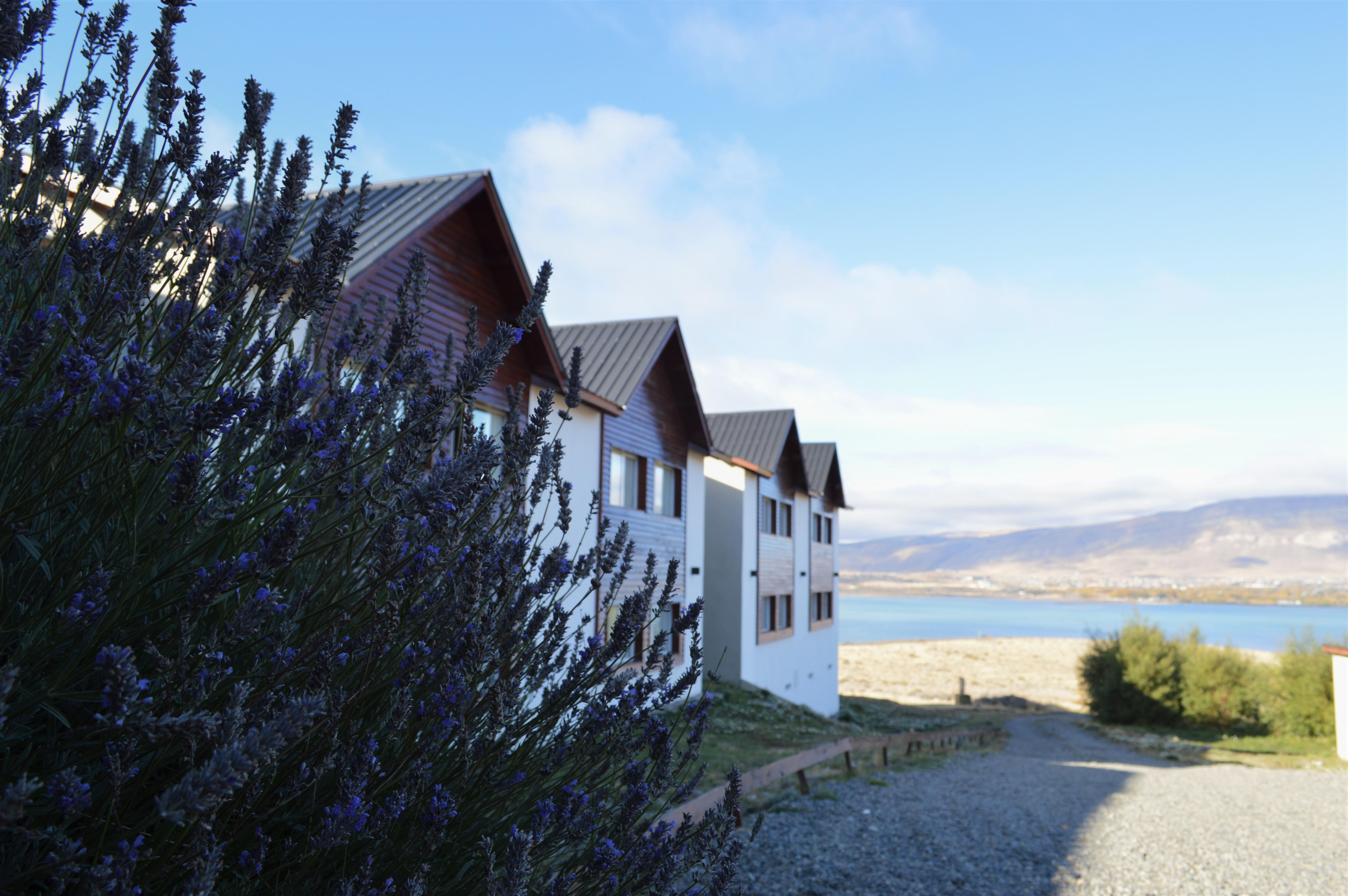 Edenia Hotel & Nature El Calafate Dış mekan fotoğraf